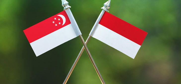 Tax Treaty Indonesia dan Singapura